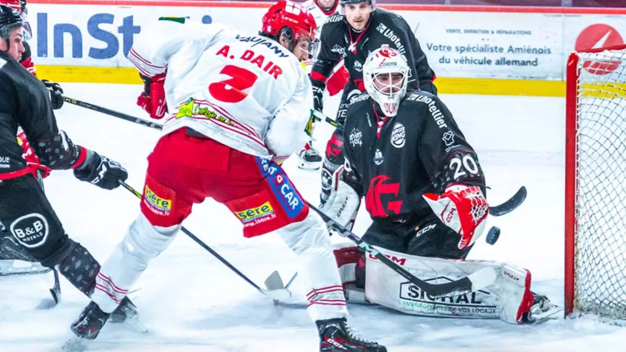 Playoffs : les Brûleurs de Loups se hissent en demi-finale Playoffs : les Brûleurs de Loups se hissent en demi-finale