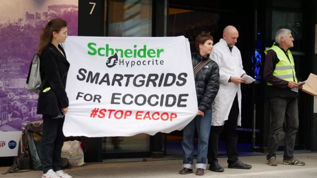 Grenoble : des militants écologistes réalisent une action devant la CCI