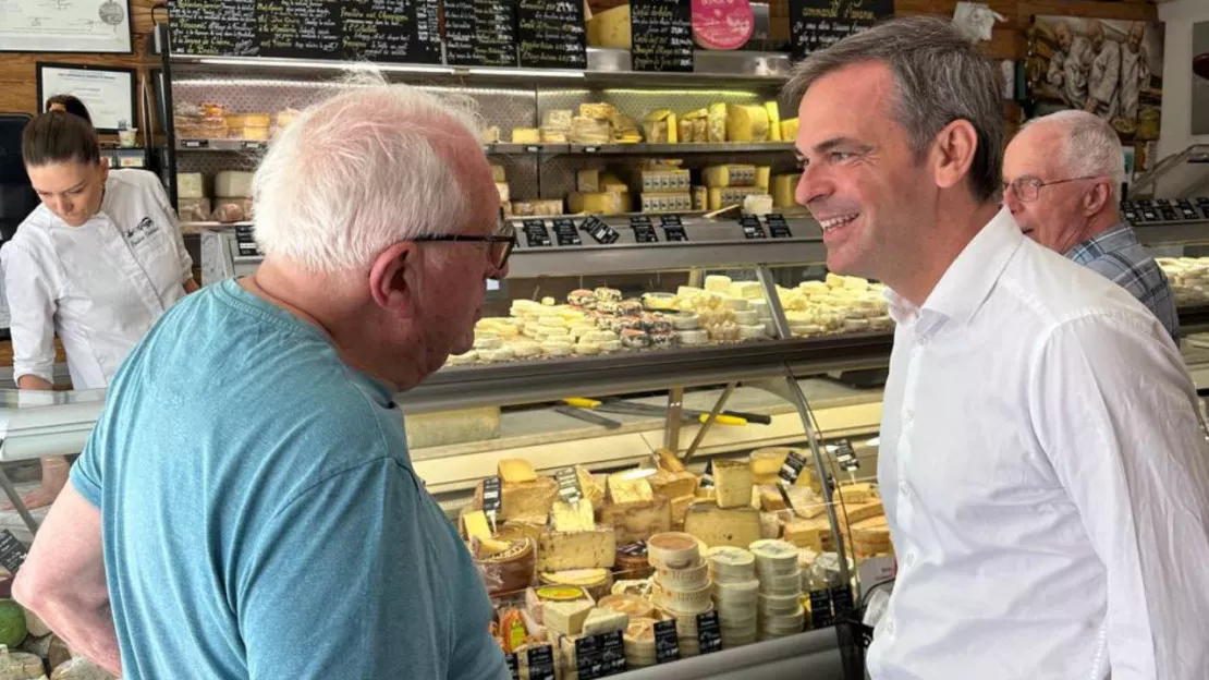 Législatives : un élu frappé pendant un collage d'affiches pour Olivier Véran, un homme en garde à vue