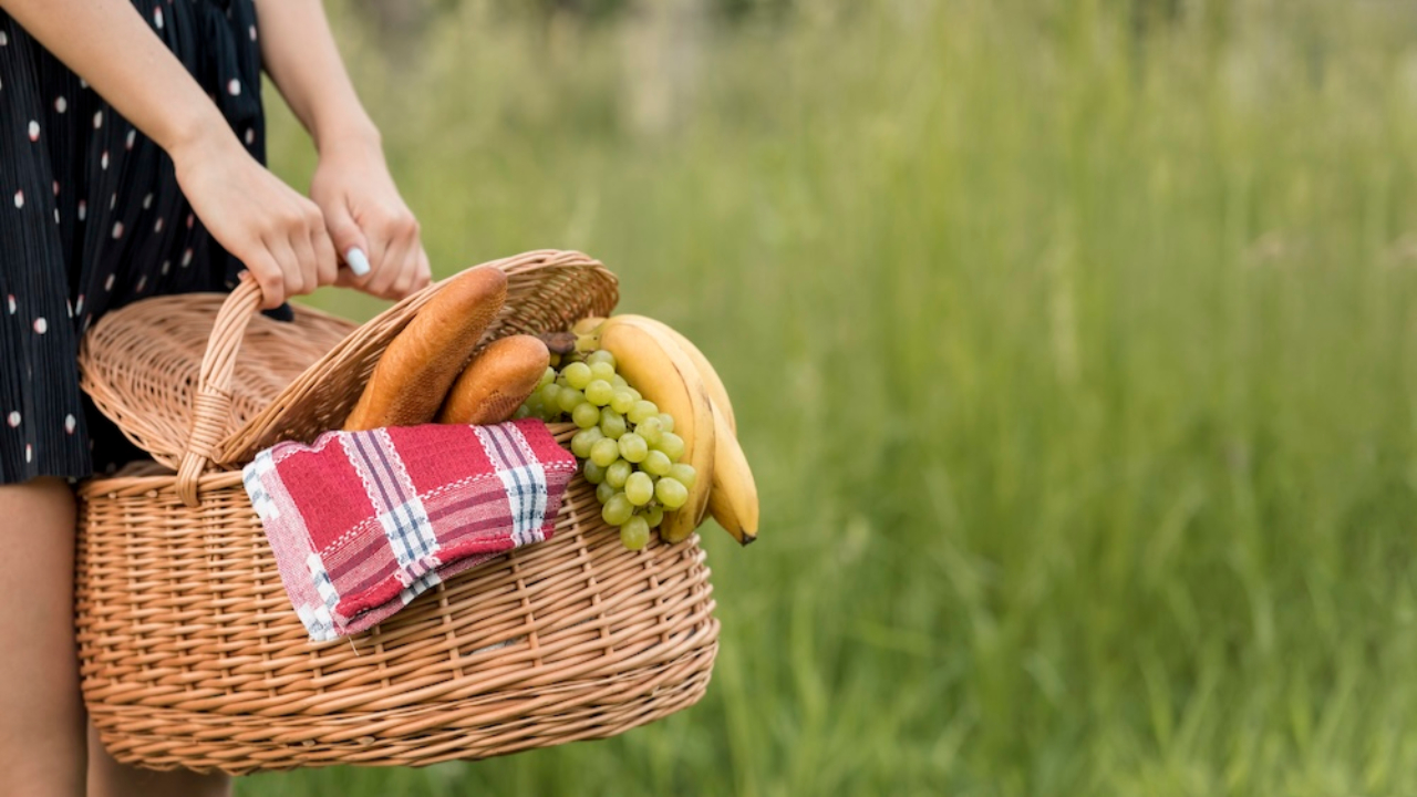 Grenoble : un grand pique-nique 100 % vegan organisé au parc Paul-Mistral ce dimanche Grenoble : un grand pique-nique 100 % vegan organisé au parc Paul-Mistral ce dimanche