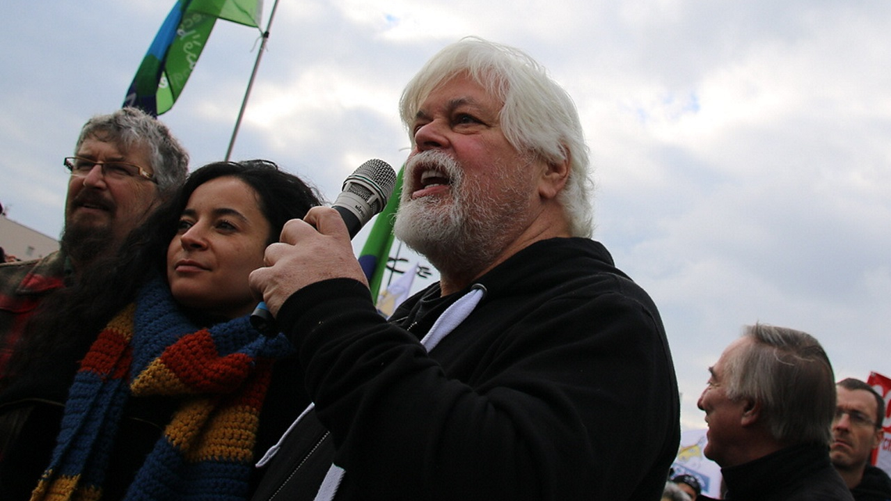 Échirolles : les élus contraints de retirer un vœu de soutien à Paul Watson Échirolles : les élus contraints de retirer un vœu de soutien à Paul Watson