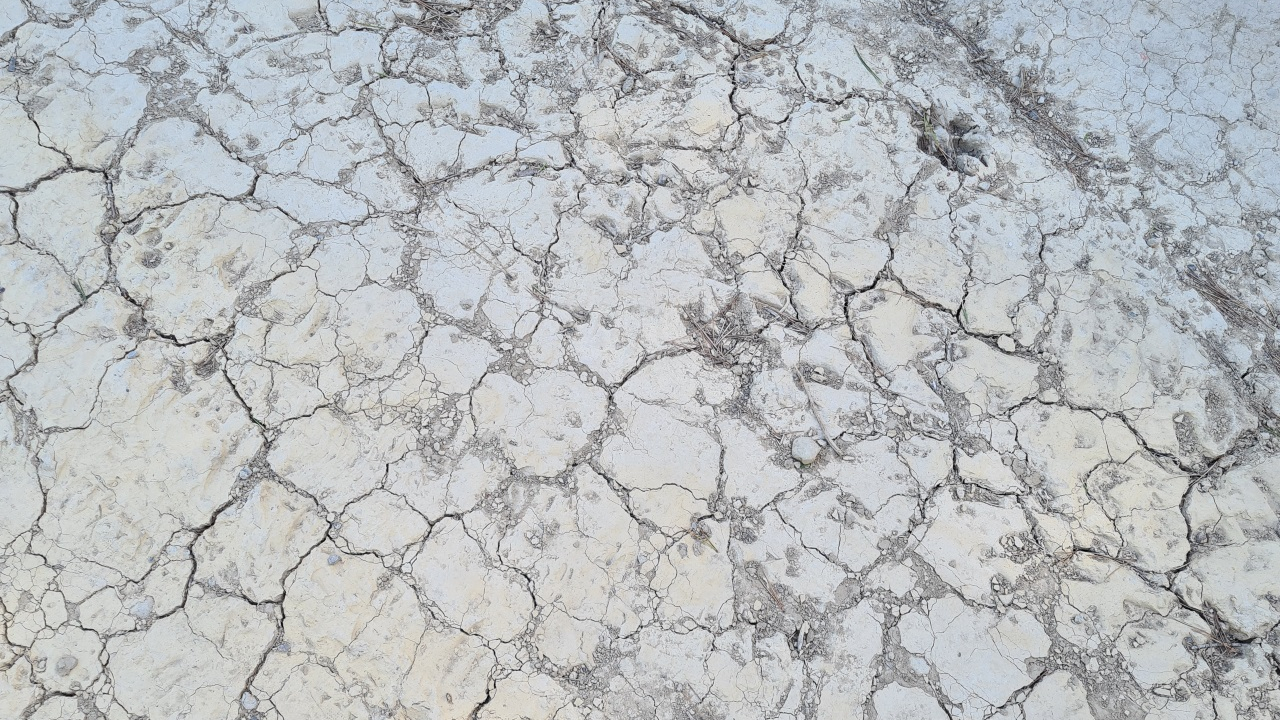 Grenoble : la préfecture place plusieurs secteurs en alerte sécheresse Grenoble : la préfecture place plusieurs secteurs en alerte sécheresse