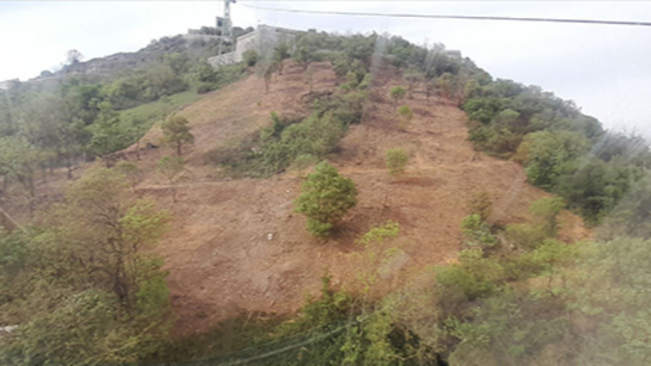 Grenoble : pr&egrave;s de deux hectares d&eacute;broussaill&eacute;s trop massivement &agrave; la Bastille ?