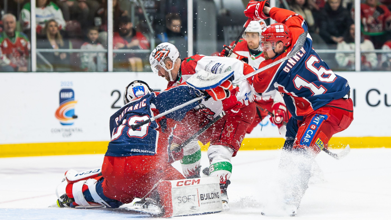 Les Brûleurs de Loups s’inclinent en finale de la Continental Cup face à Cardiff Les Brûleurs de Loups s’inclinent en finale de la Continental Cup face à Cardiff