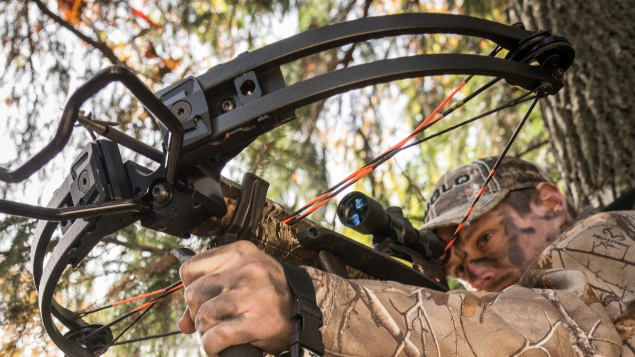 Pr&egrave;s de Grenoble : les deux voisins se d&eacute;testent, des tirs d'arbal&egrave;te font un bless&eacute;