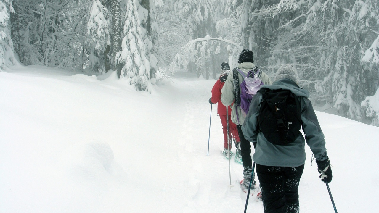 Près de Grenoble : un randonneur épuisé secouru dans le Vercors après plusieurs malaises Près de Grenoble : un randonneur épuisé secouru dans le Vercors après plusieurs malaises