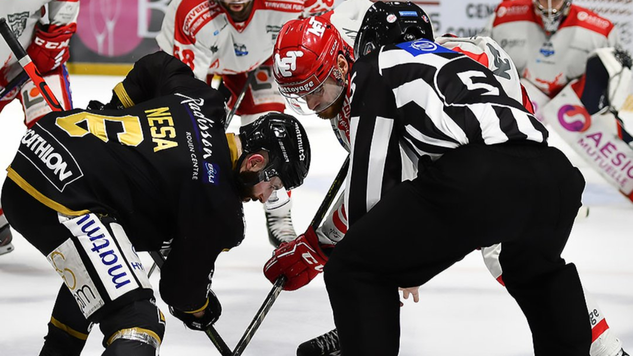Rouen-Brûleurs de Loups : Grenoble perd le titre sur un but litigieux (4-3)