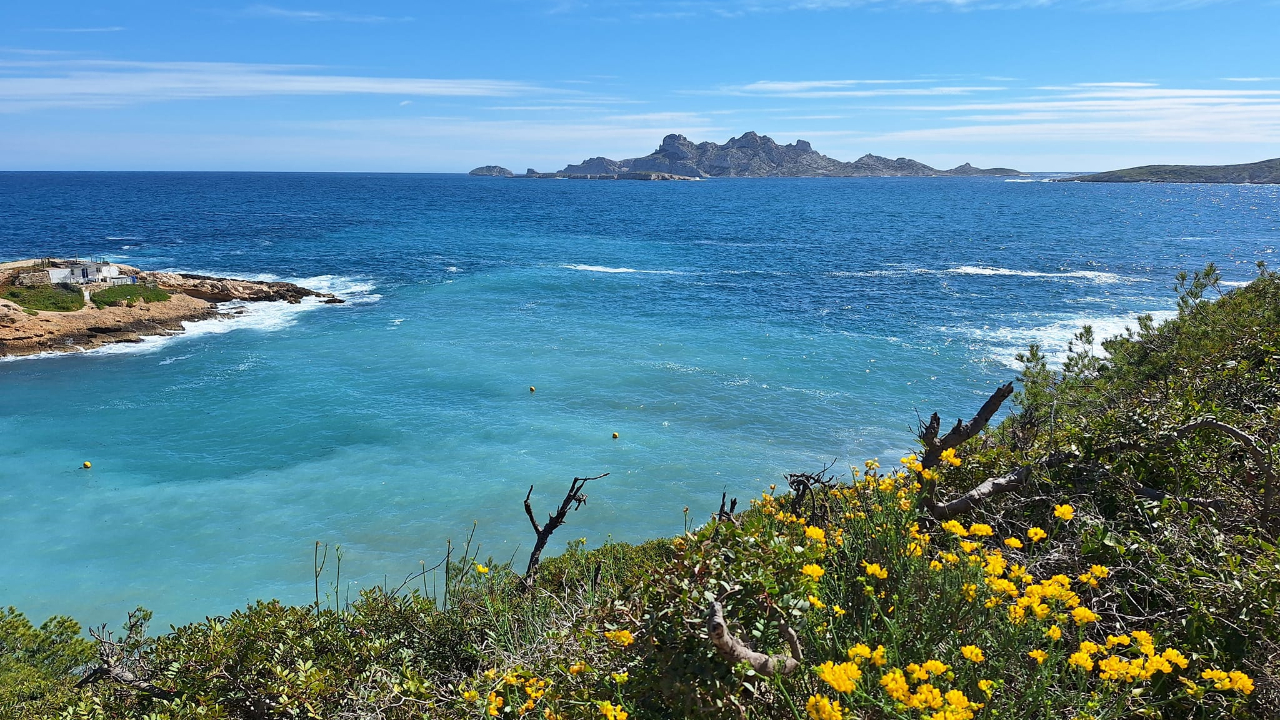 Un habitant de Saint-Egrève meurt après une chute dans la mer près de Marseille Un habitant de Saint-Egrève meurt après une chute dans la mer près de Marseille