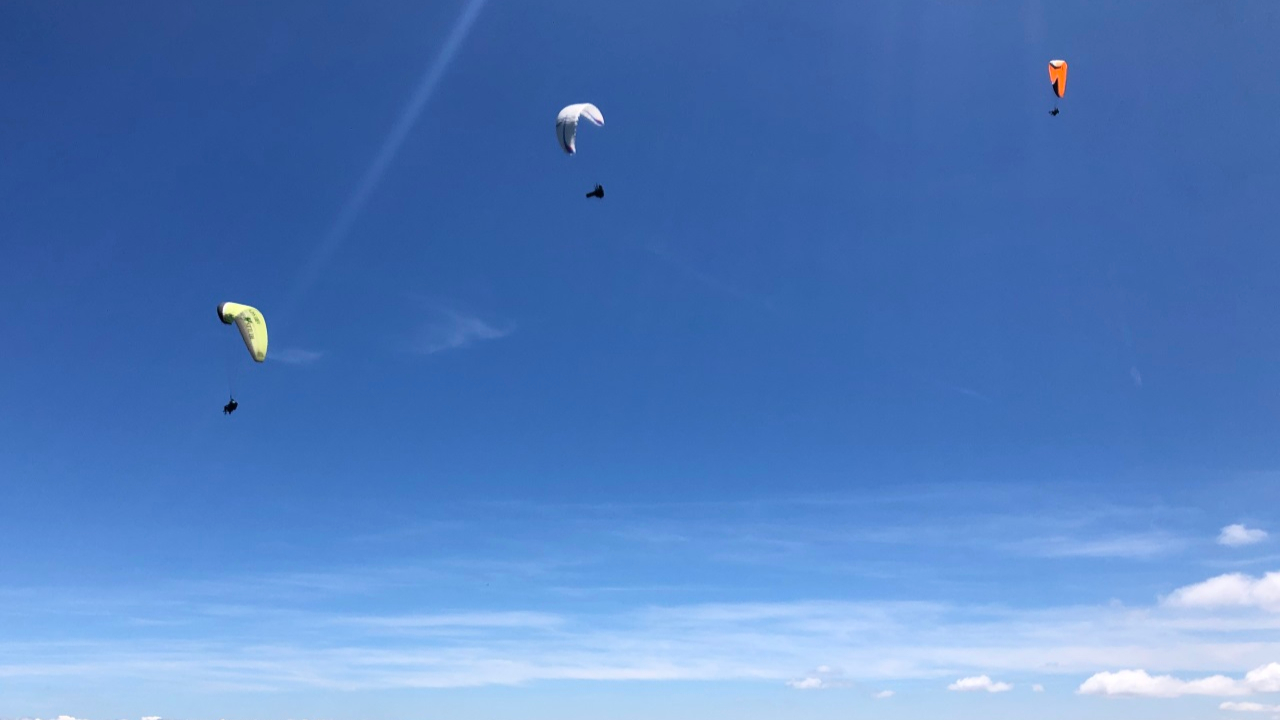 Vercors : plainte de la LPO contre les parapentistes qui d&eacute;rangent les aigles royaux