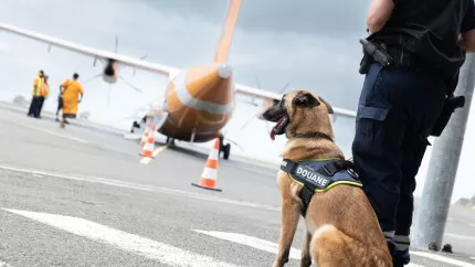 Depuis Grenoble, ils pilotaient un réseau de trafic de faux documents entre la France et la Turquie Depuis Grenoble, ils pilotaient un réseau de trafic de faux documents entre la France et la Turquie